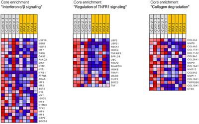 Exploring With Transcriptomic Approaches the Underlying Mechanisms of an Essential Oil-Based Phytogenic in the Small Intestine and Liver of Pigs